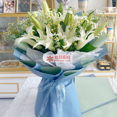 盘锦8支白色多头百合洋甘菊，互倾的思念