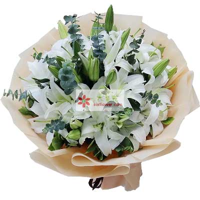 盘锦9支白色多头百合，祝福你幸福